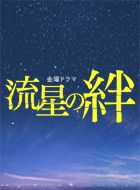 流星の絆 動画の画像