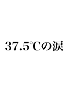 37.5℃の涙 動画の画像